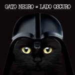 imagenes-de-gatos-negros.jpg