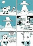 tu mision en la tierra.jpg