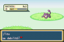 poke8.png