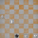 board(1).jpeg
