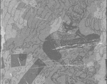 04 (1).png