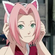 sakura shuobi