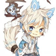 seiber-clou